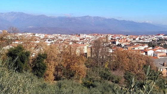 La Junta realizará mejoras en las masas forestales de Jaraíz