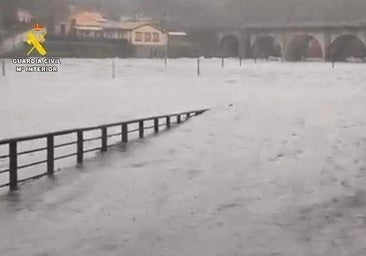 El Lago y las vegas del Tiétar, anegados