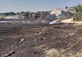 Aprobación del plan de actuación municipal frente al riesgo de incendios forestales