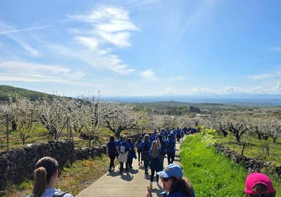 Este sábado, cross popular solidario y ruta senderista