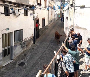 Jaraíz late a ritmo taurino: mañana, tarde y noche