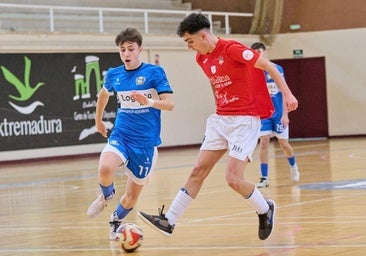 La Escuela de Deportes ofrece 14 modalidades para el nuevo curso