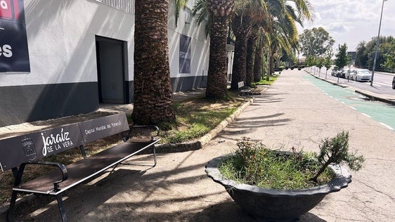 Los vecinos ya no necesitan cartones para sentarse en el 'paseo de los mayores'