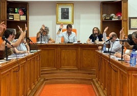 El pleno dando el visto bueno a la prórroga