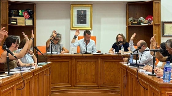 El pleno dando el visto bueno a la prórroga