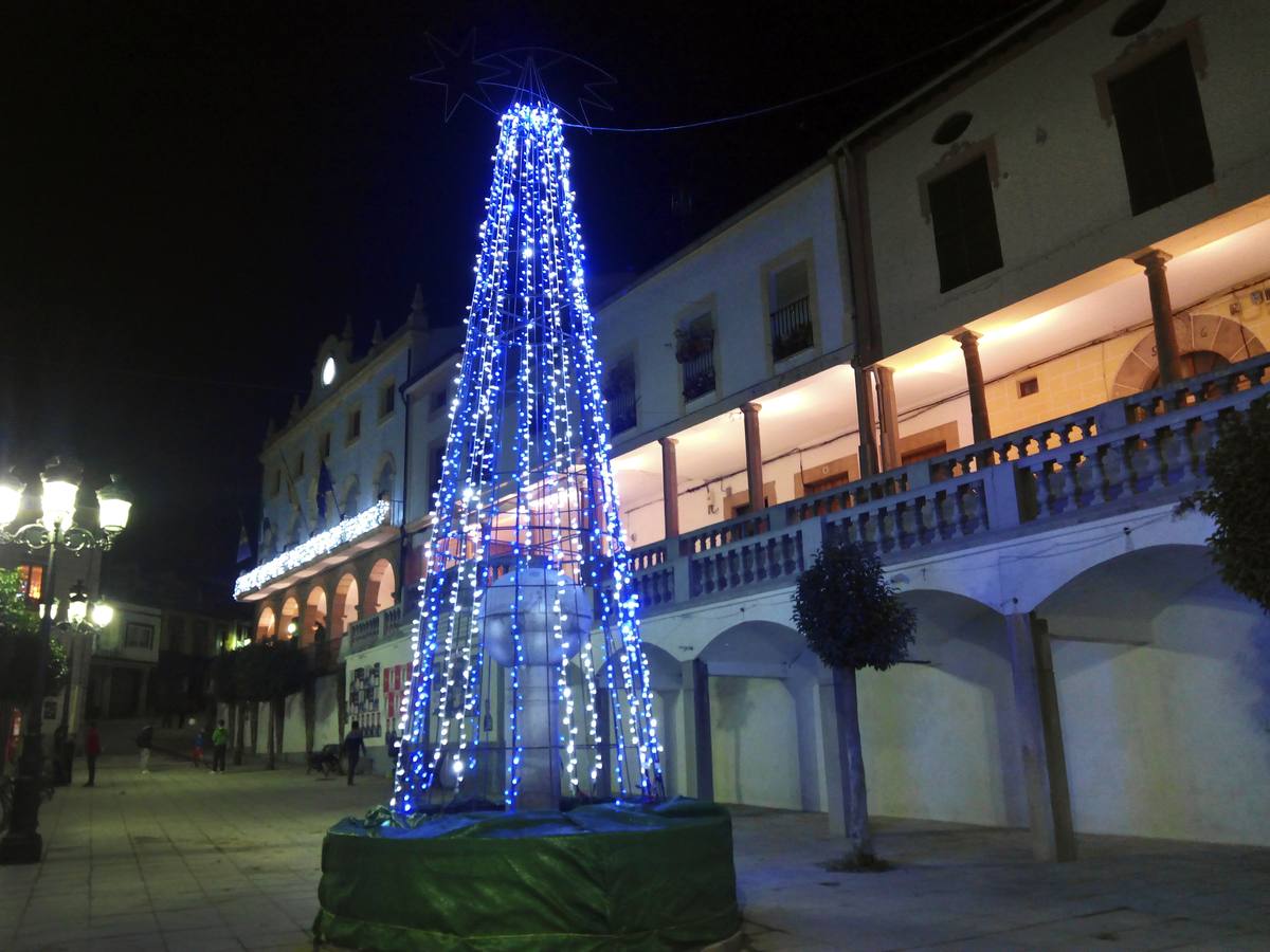 Árbol de la Plaza Mayor de Jaraíz.