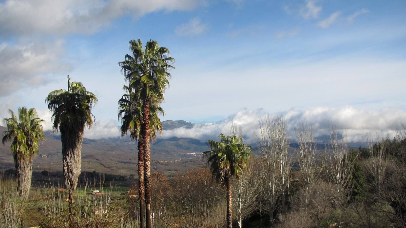 Gredos visto desde Jaraíz. 