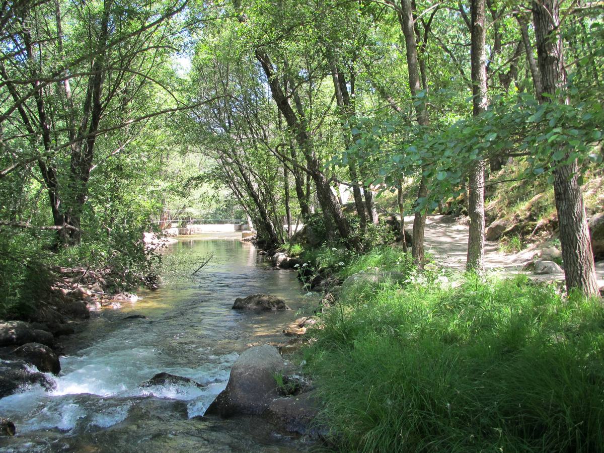 Garganta de Pedro Chate, en la que abundan las truchas.