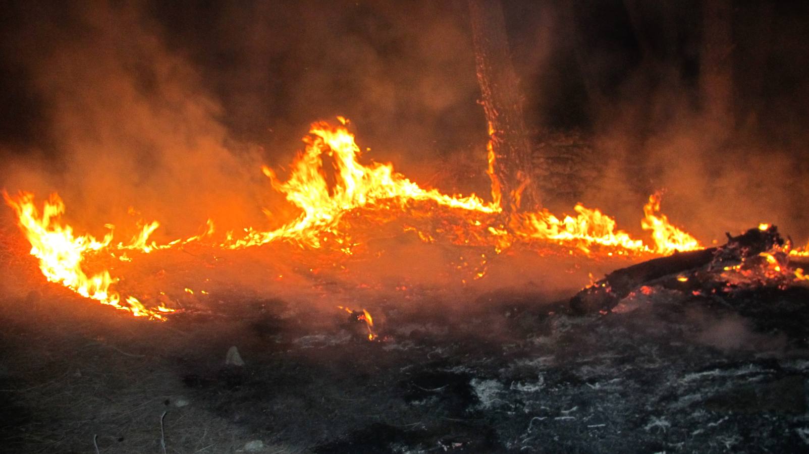 Incendio ocurrido en Jaraíz en 2015.
