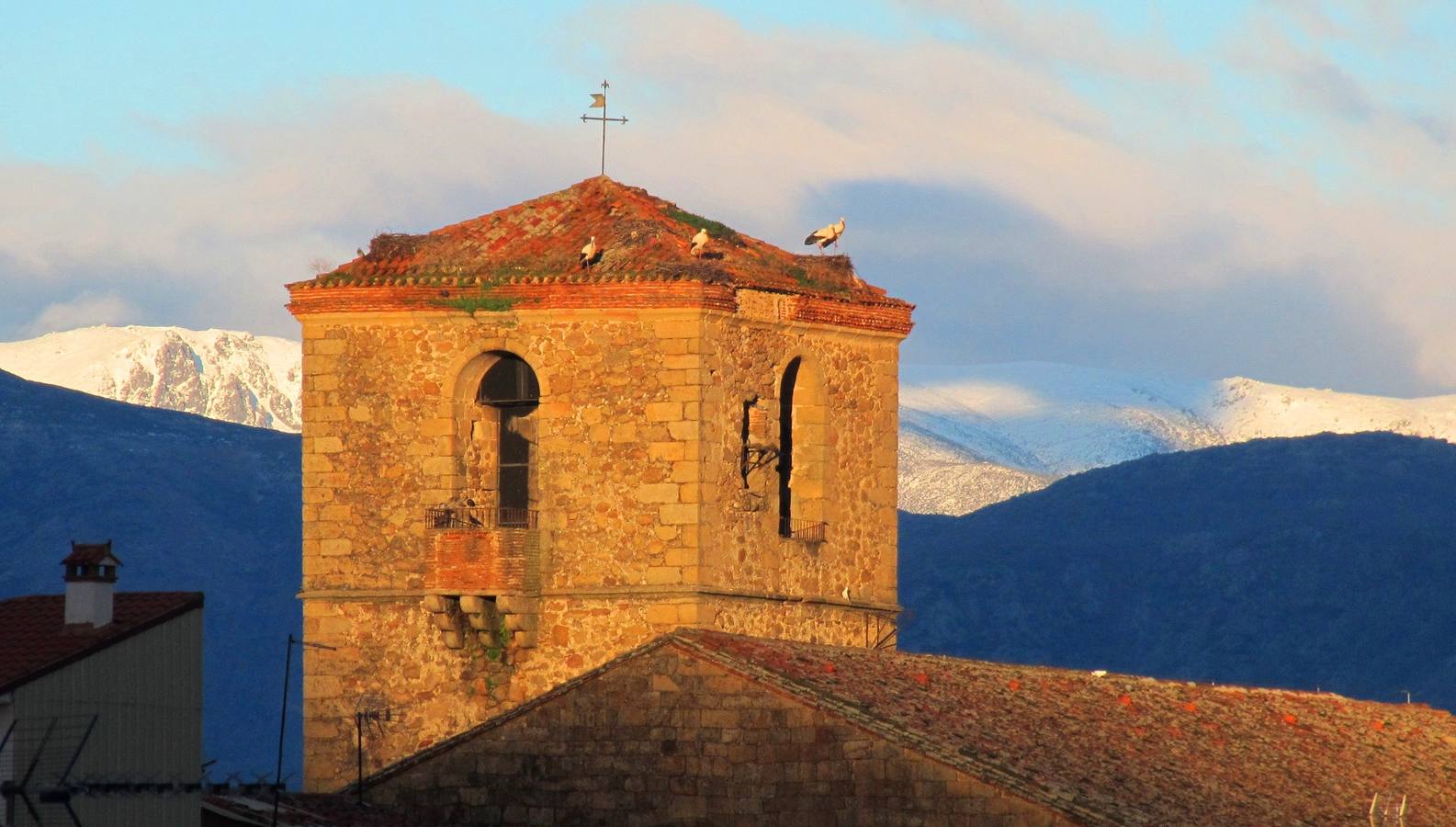 Cigüeñas en la iglesia de Santa María. 