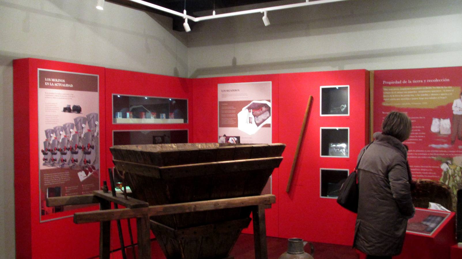 Un visitante recorriendo el museo.