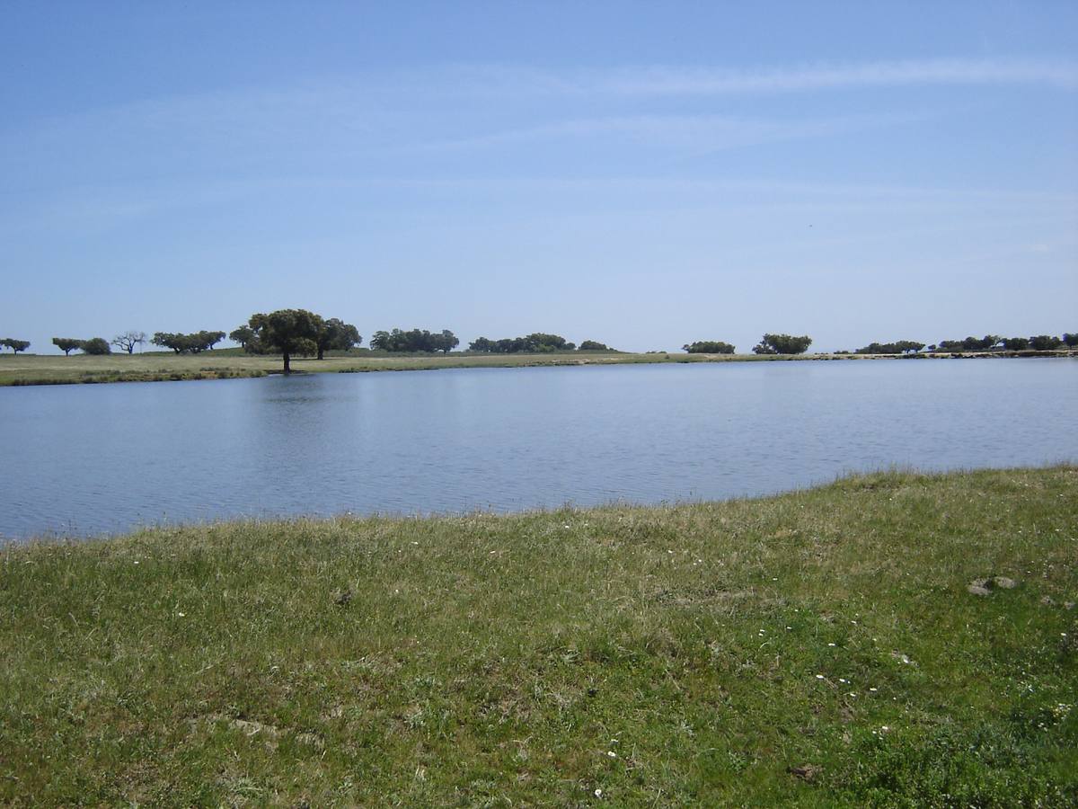 Dehesa boyal de Jaraíz.