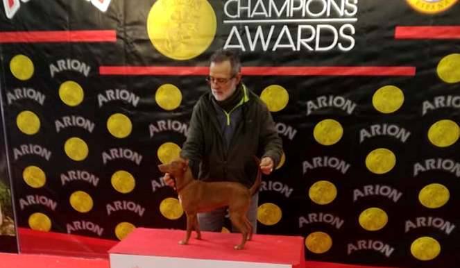 Candy Rodríguez queda el primero en la XXXVIII Exposición Nacional Canina
