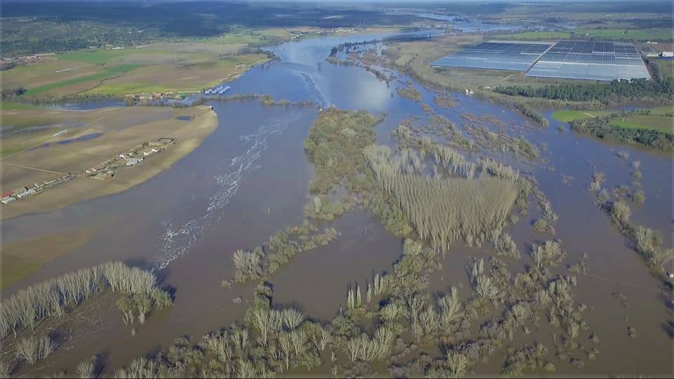 El Ayuntamiento pide que las vegas del río Tiétar sean declaradas zona catastrófica