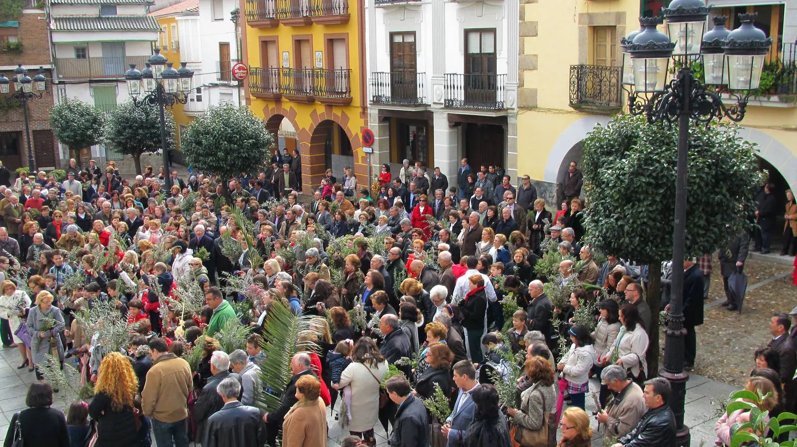 Bendición de Ramos, en la plaza Mayor. 