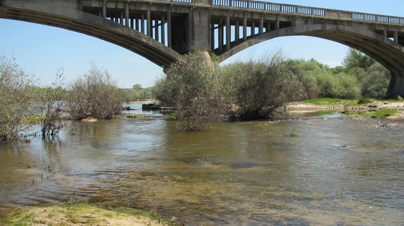 Cauce del río Tiétar, que piden sea limpiado.