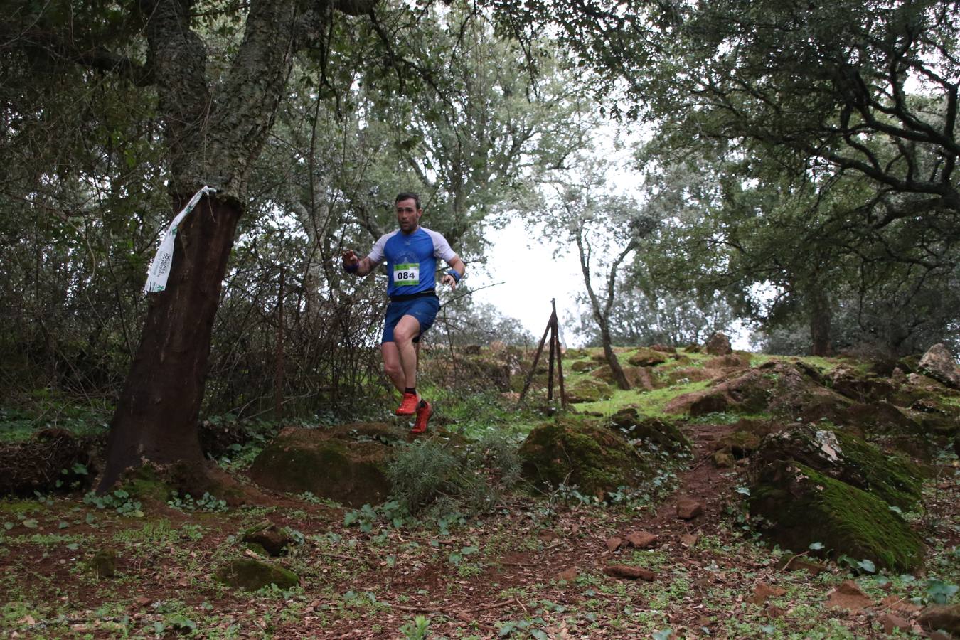 Daniel Remón Señorán, en masculino, y Beatriz González Suárez, en femenino, han sido los vencedores absolutos del I Trail Jerez de los Caballeros-Sierra San José que se ha celebrado, esta mañana, en el municipio. La prueba, de 27 kilómetros, ha contado con un circuito alternativo, de 11 kilómetros, donde el jerezano Fernando Méndez García y María Isabel González Méndez se han alzado con la victoria. Más de 200 corredores han disfrutado de esta prueba que ha conjugado deporte y naturaleza.