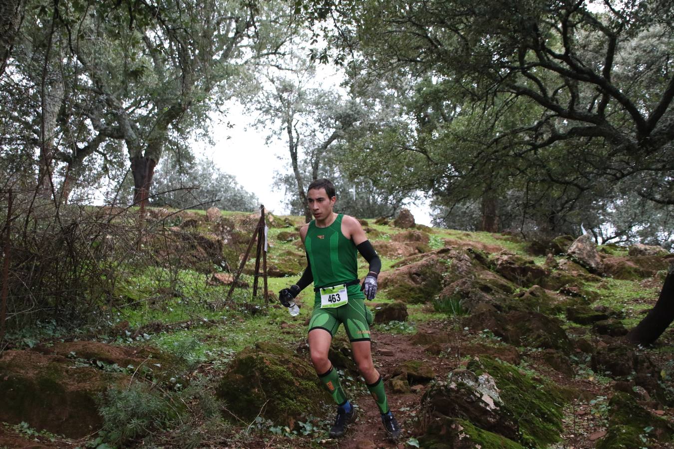 Daniel Remón Señorán, en masculino, y Beatriz González Suárez, en femenino, han sido los vencedores absolutos del I Trail Jerez de los Caballeros-Sierra San José que se ha celebrado, esta mañana, en el municipio. La prueba, de 27 kilómetros, ha contado con un circuito alternativo, de 11 kilómetros, donde el jerezano Fernando Méndez García y María Isabel González Méndez se han alzado con la victoria. Más de 200 corredores han disfrutado de esta prueba que ha conjugado deporte y naturaleza.
