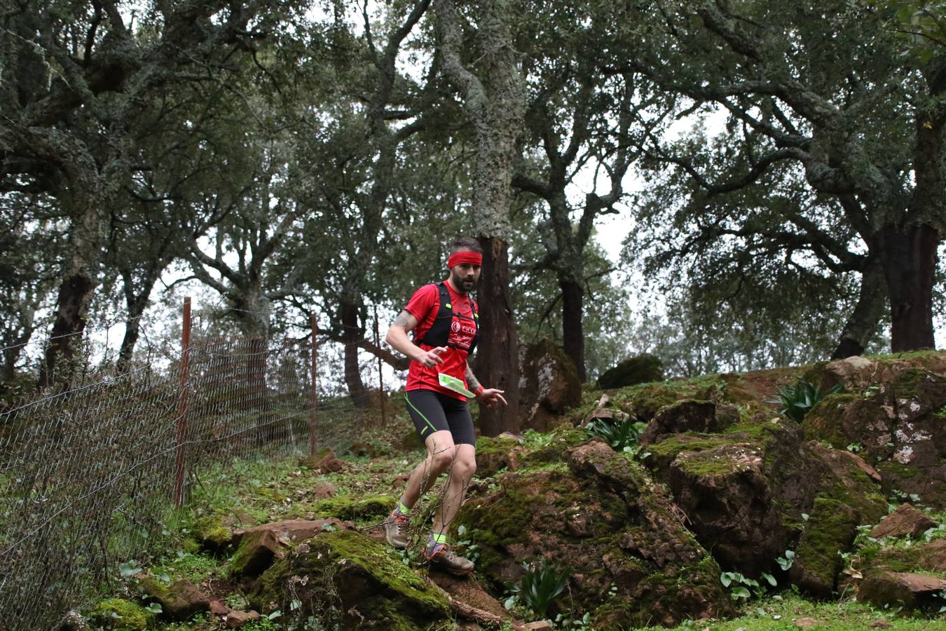 Daniel Remón Señorán, en masculino, y Beatriz González Suárez, en femenino, han sido los vencedores absolutos del I Trail Jerez de los Caballeros-Sierra San José que se ha celebrado, esta mañana, en el municipio. La prueba, de 27 kilómetros, ha contado con un circuito alternativo, de 11 kilómetros, donde el jerezano Fernando Méndez García y María Isabel González Méndez se han alzado con la victoria. Más de 200 corredores han disfrutado de esta prueba que ha conjugado deporte y naturaleza.