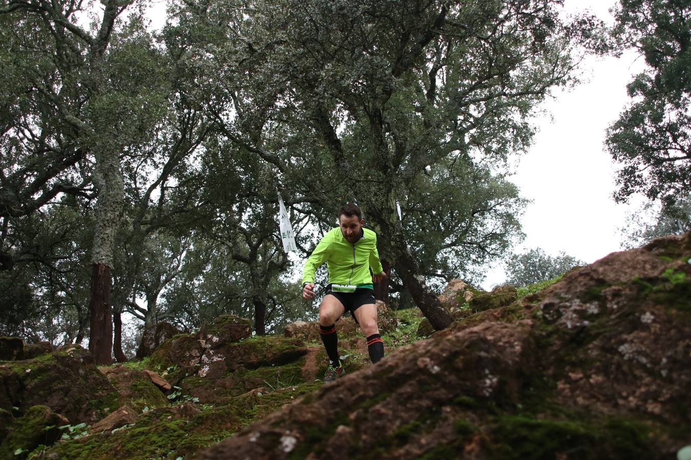 Daniel Remón Señorán, en masculino, y Beatriz González Suárez, en femenino, han sido los vencedores absolutos del I Trail Jerez de los Caballeros-Sierra San José que se ha celebrado, esta mañana, en el municipio. La prueba, de 27 kilómetros, ha contado con un circuito alternativo, de 11 kilómetros, donde el jerezano Fernando Méndez García y María Isabel González Méndez se han alzado con la victoria. Más de 200 corredores han disfrutado de esta prueba que ha conjugado deporte y naturaleza.