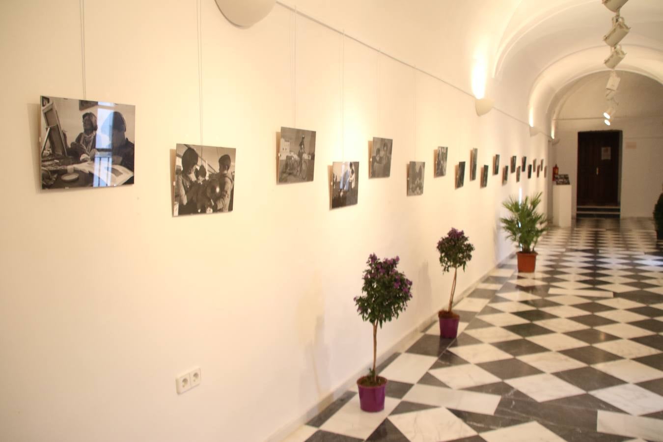 La Asociación de Mujeres Progresistas 'Felisa Tanco' inauguró, ayer, la exposición fotográfica 'Abuelas en movimiento. Instinto vital', enmarcada en los actos conmemorativos del Día Internacional de la Mujer, que se celebra hoy. Una exposición que tiene como objetivo poner en valor el papel que las abuelas juegan en la actualidad y la aportación que está teniendo en la sociedad y en la familia.