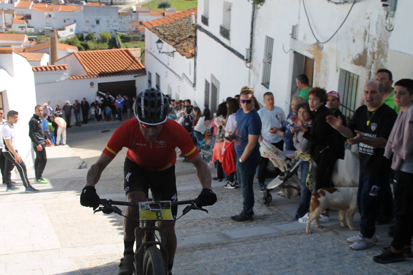 Sensacional jornada en torno al deporte del ciclismo la vivida este domingo, 10 de marzo, en Jerez de los Caballeros con la celebración del VII Maratón templario organizado por el Club ciclista de esta ciudad, con el que se ha dado continuidad a un Open de España de Maratón, que arrancó hace un mes con la VI Vuelta a Córdoba BTT.Miguel Muñoz y Lara Lois, acudían como líderes en la categoría élite tras ser los mejores en la primera cita y en esta prueba, han finalizado cuarto y primera de la general, respectivamente. José Márquez Granado (Quillo Márquez) ha sido el vencedor de la Maratón con un recorrido de 83 kilómetros por el bello entorno de dehesas de Jerez y la comarcar suroeste de Extremadura y con más de 2.000 metros de desnivel acumulado; seguido de Alejandro Díaz de la Peña y José Luis Carrasco Gámez. Agnieta Francke ha sido segunda de la general. En cuanto a los locales, Rafael García Barragán ha sido el primer jerezano de la Maratón en llegar a meta seguido de Ramón Pérez Guerrero y José Ángel González Pérez.El vencedor de la Ruta cicloturista, de 50 kilómetros, ha sido Alberto Cuevas Sánchez, seguido de Antonio Linares Paredes y Pablo Alpiste Quijada.