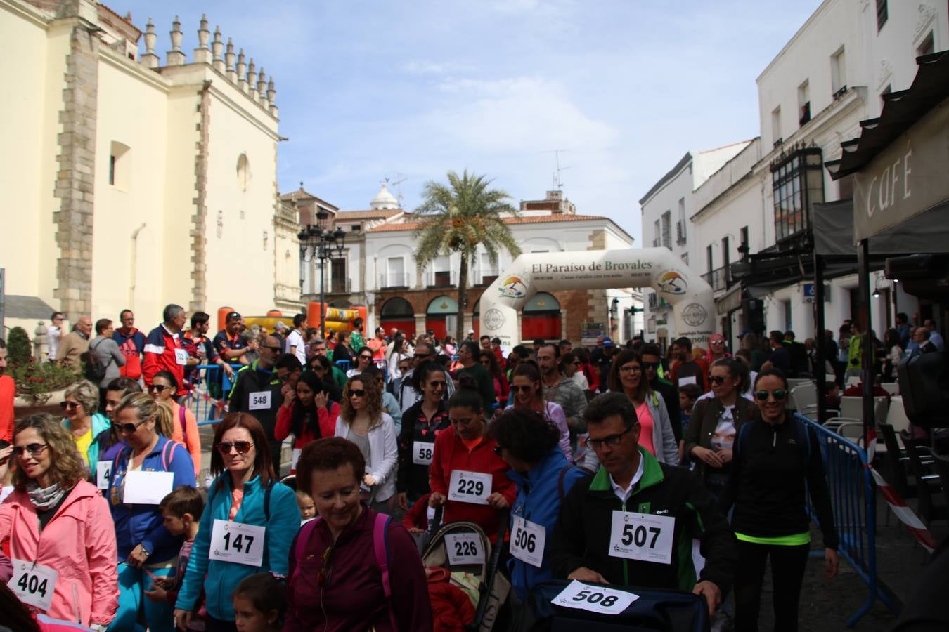 Jerez de los Caballeros celebró, ayer, la IX Carrera y Caminata Solidaria, organizada por la Junta de Cofradías de la Semana Santa Jerezana. La solidaridad y el deporte lograron recaudar 866 euros que irán destinados a Cáritas en Jerez.