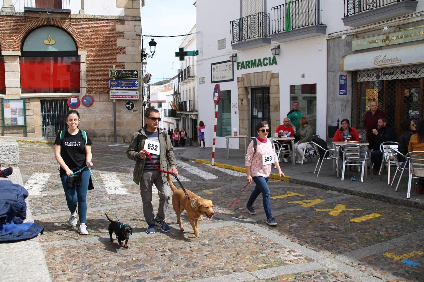 Jerez de los Caballeros celebró, ayer, la IX Carrera y Caminata Solidaria, organizada por la Junta de Cofradías de la Semana Santa Jerezana. La solidaridad y el deporte lograron recaudar 866 euros que irán destinados a Cáritas en Jerez.