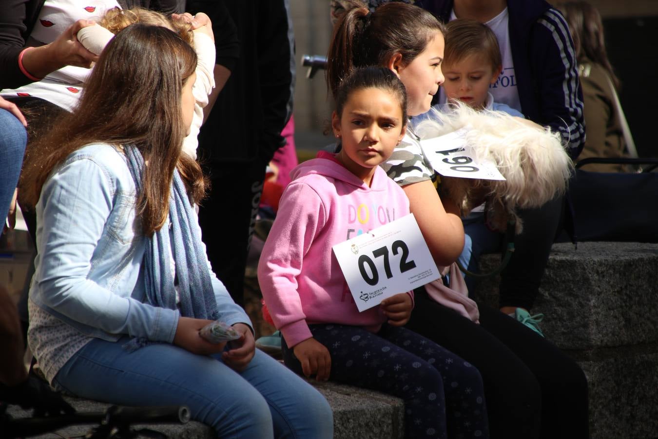 Jerez de los Caballeros celebró, ayer, la IX Carrera y Caminata Solidaria, organizada por la Junta de Cofradías de la Semana Santa Jerezana. La solidaridad y el deporte lograron recaudar 866 euros que irán destinados a Cáritas en Jerez.