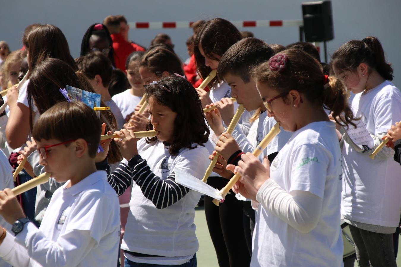 El Colegio 'Sotomayor y Terrazas' ha celebrado, esta mañana, su III Certamen escolar de bandas, organizado por el área de Música de este centro educativo, bajo la dirección de la maestra Loli Guzmán. A las puertas de la Semana Santa de Jerez, la actividad ha tenido como objetivo acercar la música a los niños y trabajar con ellos los sones que acompañan esta celebración. Esta edición ha contado, también, con la participación de alumnos del Colegio de Educación Especial 'Nuestra Señora de Aguasantas', la Agrupación Musical 'Nuestro Padre Jesús Nazareno', la Banda de CC. y TT. de 'Nuestra Señora del Rosario' y la Agrupación Musical 'Maestro Sousa'. Además, como novedad, se ha realizado un desfile previo por las calles del popular 'Barrio Alto'.