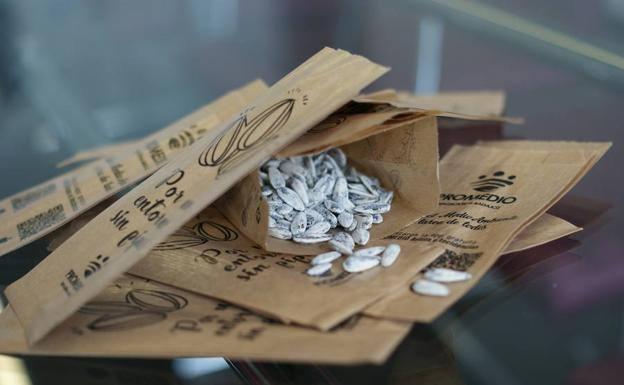 Promedio reparte 27.500 bolsas de papel para tirar cáscaras de pipas en Semana Santa