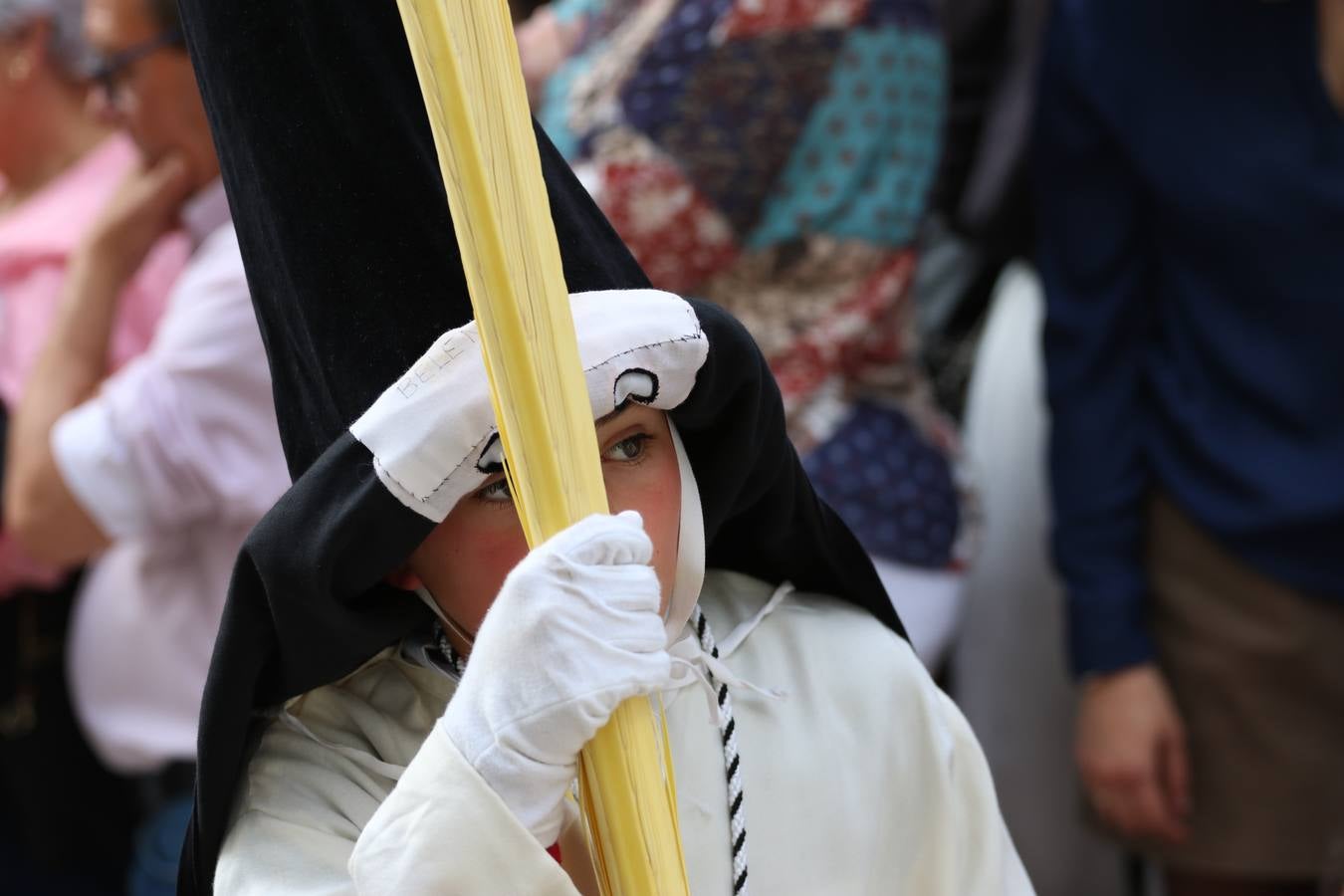 Jerez de los Caballeros vivió, ayer, sus primeros pálpitos de alegría y emoción al paso de 'La Borriquita' y 'Nuestra Señora del Rosario'. La Cofradía de 'Santo Domingo de Guzmán y Nuestra Señora del Rosario' fue la encargada de abrir los desfiles procesionales de la Semana de Pasión jerezana, convirtiéndose, así, en la primera cofradía en aunar fervor y devoción por las calles del municipio.