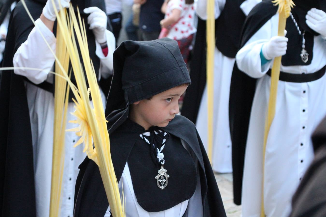 Jerez de los Caballeros vivió, ayer, sus primeros pálpitos de alegría y emoción al paso de 'La Borriquita' y 'Nuestra Señora del Rosario'. La Cofradía de 'Santo Domingo de Guzmán y Nuestra Señora del Rosario' fue la encargada de abrir los desfiles procesionales de la Semana de Pasión jerezana, convirtiéndose, así, en la primera cofradía en aunar fervor y devoción por las calles del municipio.