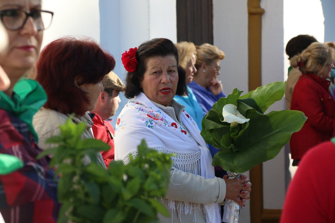 Romeros, carrozas y caballistas han acompañado, esta mañana, en procesión, al Simpecado de Nuestra Señora de Aguasantas, Patrona de Jerez de los Caballeros, hasta la ermita consagrada a su nombre. Durante el camino, no han faltado las perrunillas, la copa de anís, el acompañamiento musical del tamborilero de la Hermandad de La Algaba, Ramón Barragán, y los cánticos y bailes de algunos romeros. Un día de júbilo, convivencia y devoción a Nuestra Señora de Aguasantas que culminará, esta tarde, a las 20 horas, con el rezo del Santo Rosario en la citada ermita y el canto de la Salve a la Virgen.