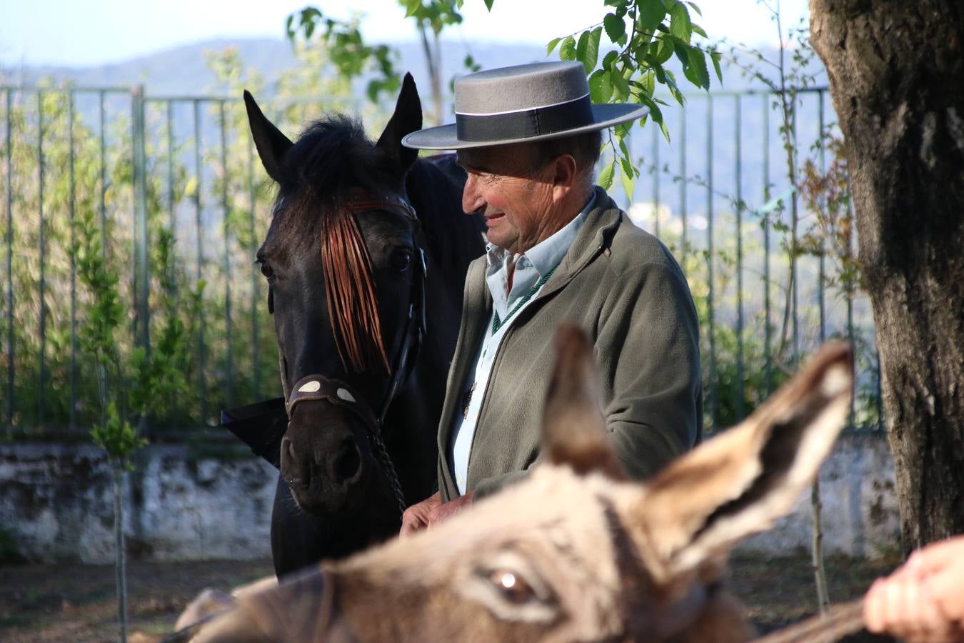 Romeros, carrozas y caballistas han acompañado, esta mañana, en procesión, al Simpecado de Nuestra Señora de Aguasantas, Patrona de Jerez de los Caballeros, hasta la ermita consagrada a su nombre. Durante el camino, no han faltado las perrunillas, la copa de anís, el acompañamiento musical del tamborilero de la Hermandad de La Algaba, Ramón Barragán, y los cánticos y bailes de algunos romeros. Un día de júbilo, convivencia y devoción a Nuestra Señora de Aguasantas que culminará, esta tarde, a las 20 horas, con el rezo del Santo Rosario en la citada ermita y el canto de la Salve a la Virgen.