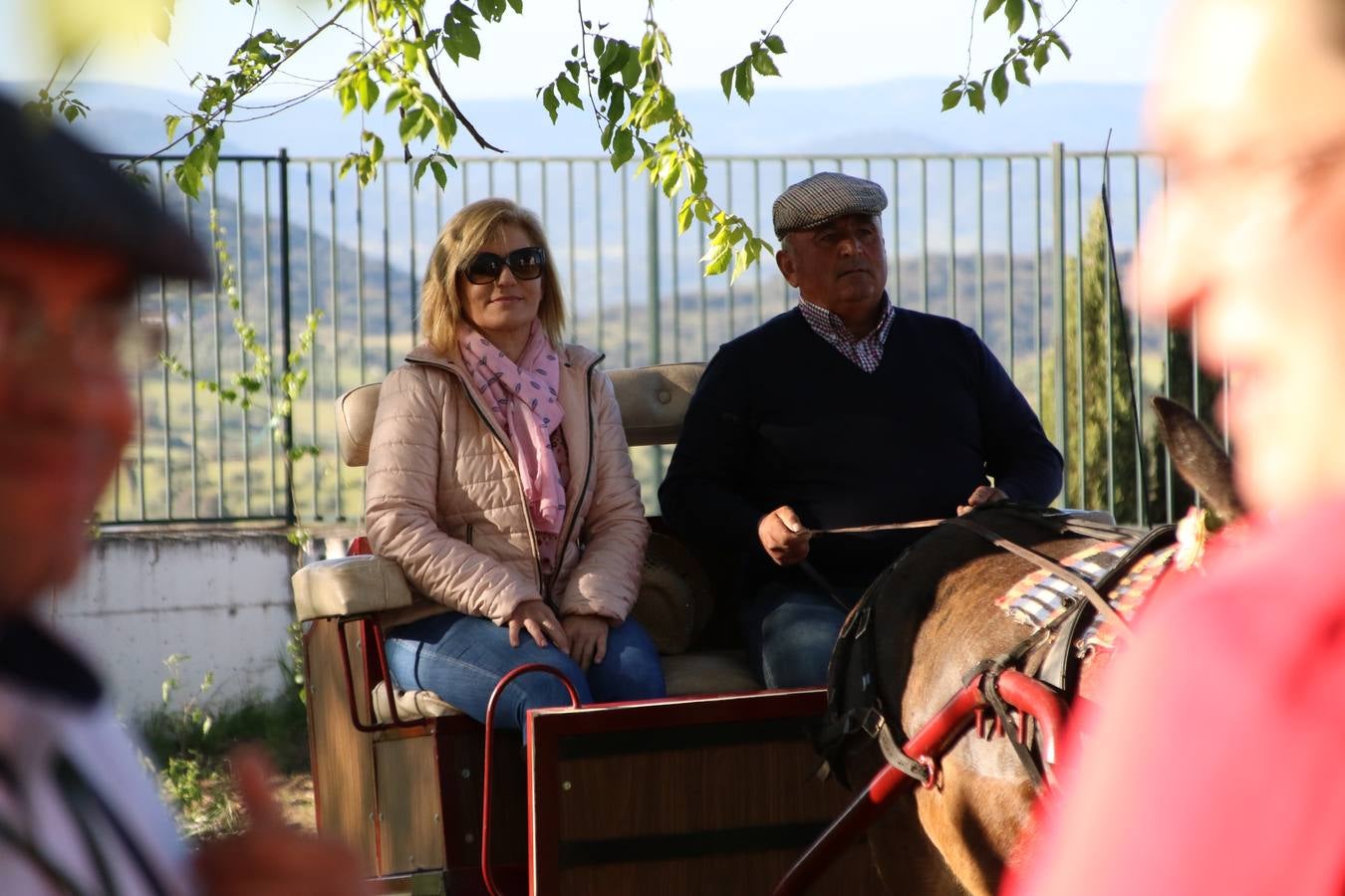 Romeros, carrozas y caballistas han acompañado, esta mañana, en procesión, al Simpecado de Nuestra Señora de Aguasantas, Patrona de Jerez de los Caballeros, hasta la ermita consagrada a su nombre. Durante el camino, no han faltado las perrunillas, la copa de anís, el acompañamiento musical del tamborilero de la Hermandad de La Algaba, Ramón Barragán, y los cánticos y bailes de algunos romeros. Un día de júbilo, convivencia y devoción a Nuestra Señora de Aguasantas que culminará, esta tarde, a las 20 horas, con el rezo del Santo Rosario en la citada ermita y el canto de la Salve a la Virgen.