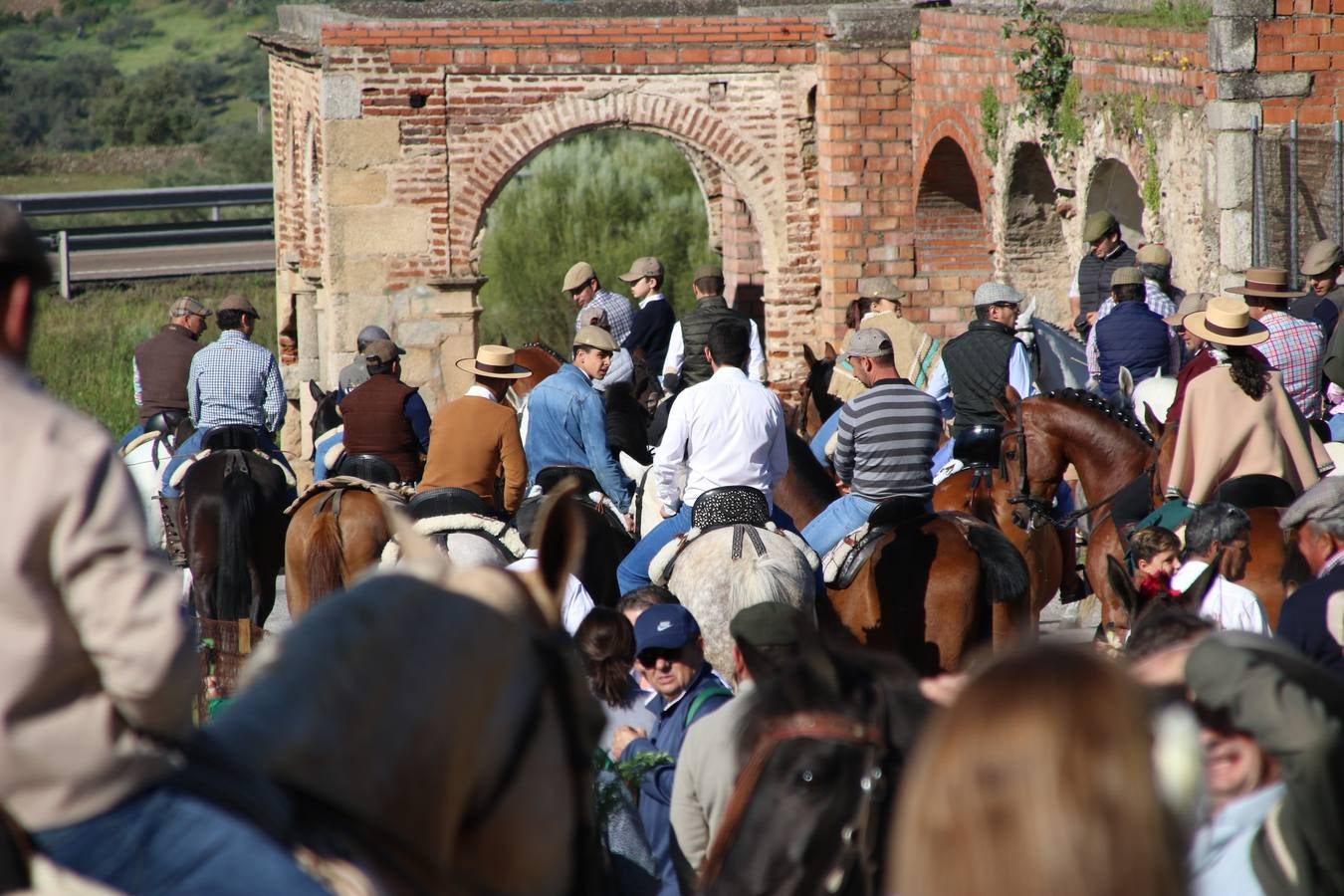Romeros, carrozas y caballistas han acompañado, esta mañana, en procesión, al Simpecado de Nuestra Señora de Aguasantas, Patrona de Jerez de los Caballeros, hasta la ermita consagrada a su nombre. Durante el camino, no han faltado las perrunillas, la copa de anís, el acompañamiento musical del tamborilero de la Hermandad de La Algaba, Ramón Barragán, y los cánticos y bailes de algunos romeros. Un día de júbilo, convivencia y devoción a Nuestra Señora de Aguasantas que culminará, esta tarde, a las 20 horas, con el rezo del Santo Rosario en la citada ermita y el canto de la Salve a la Virgen.