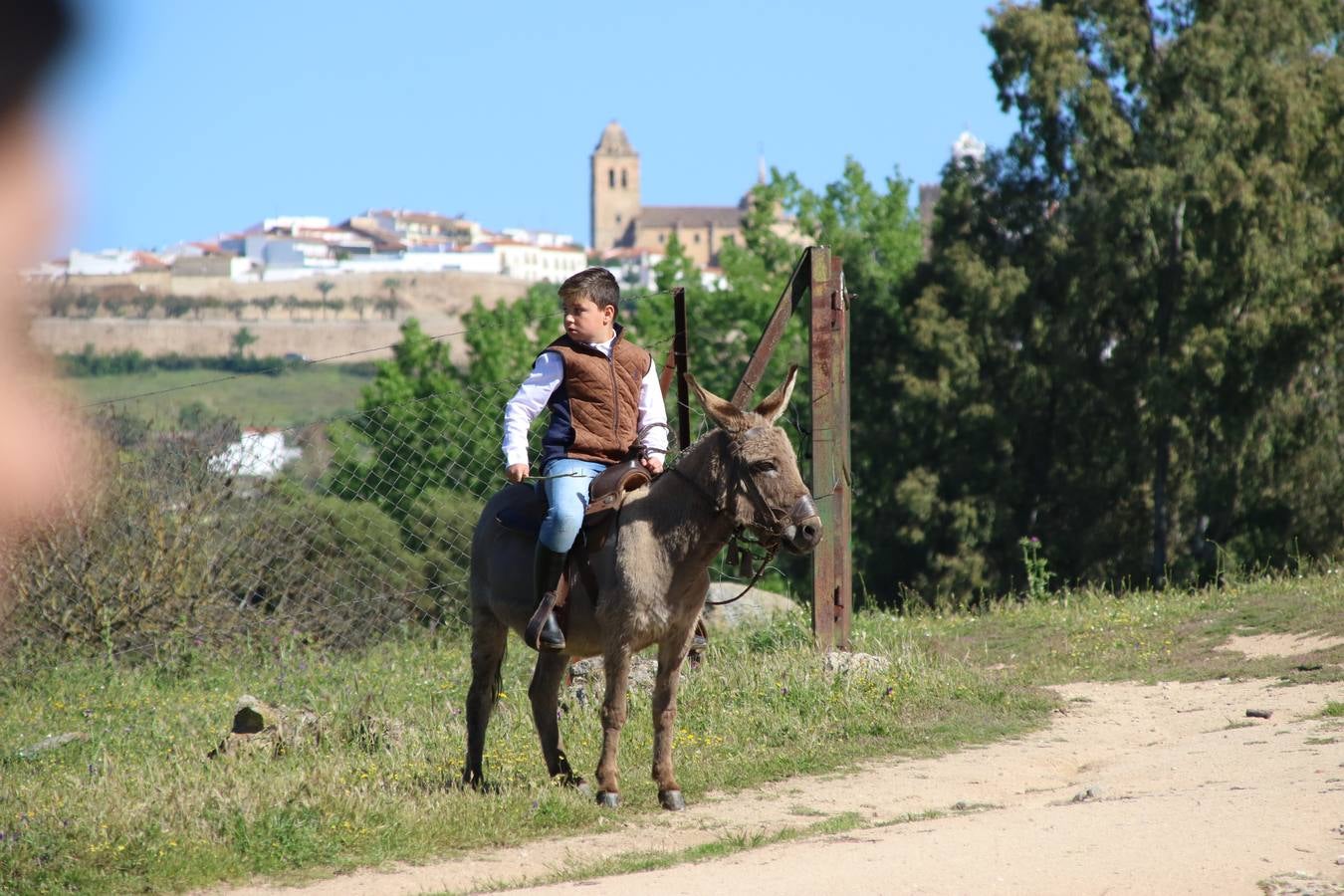Romeros, carrozas y caballistas han acompañado, esta mañana, en procesión, al Simpecado de Nuestra Señora de Aguasantas, Patrona de Jerez de los Caballeros, hasta la ermita consagrada a su nombre. Durante el camino, no han faltado las perrunillas, la copa de anís, el acompañamiento musical del tamborilero de la Hermandad de La Algaba, Ramón Barragán, y los cánticos y bailes de algunos romeros. Un día de júbilo, convivencia y devoción a Nuestra Señora de Aguasantas que culminará, esta tarde, a las 20 horas, con el rezo del Santo Rosario en la citada ermita y el canto de la Salve a la Virgen.