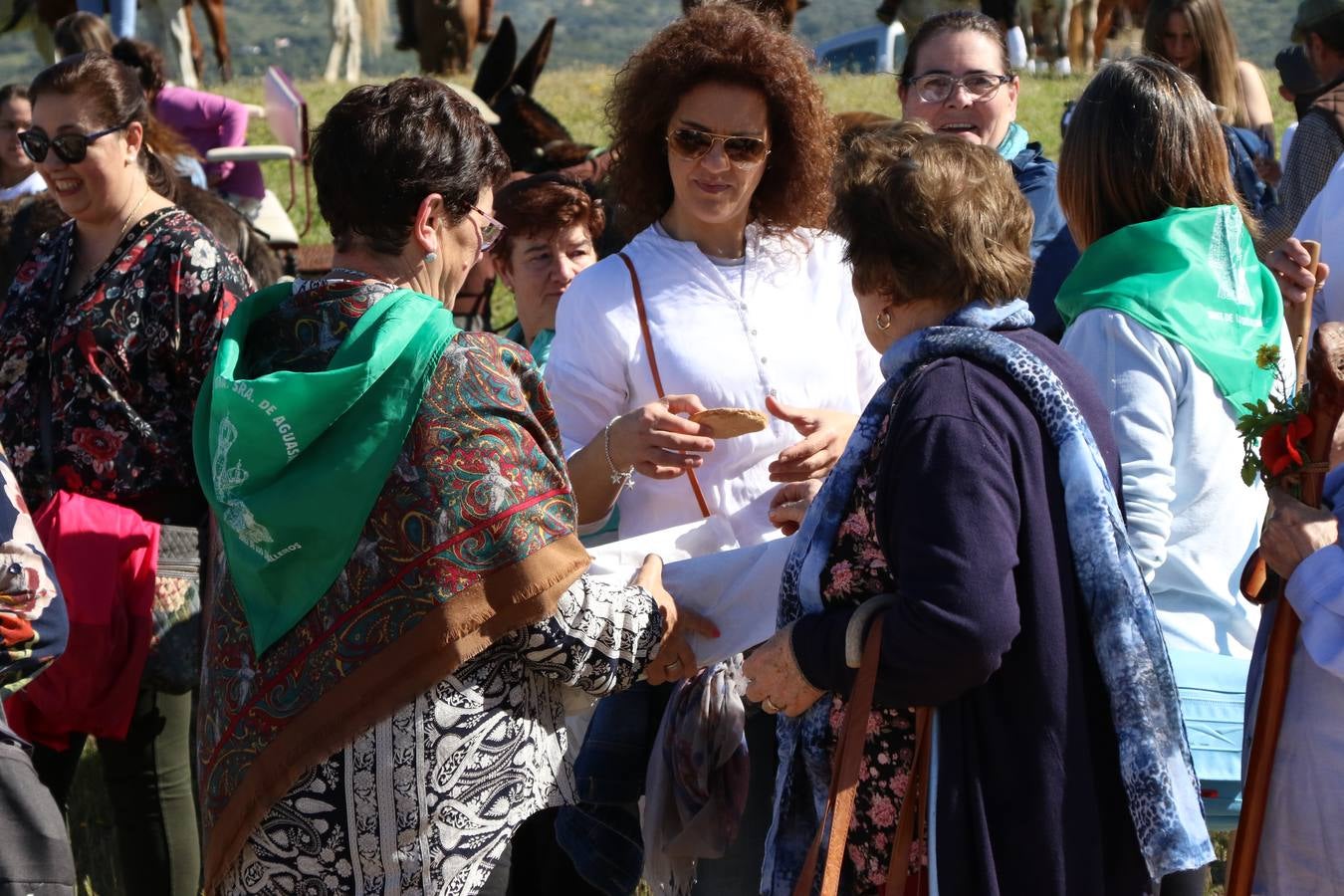 Romeros, carrozas y caballistas han acompañado, esta mañana, en procesión, al Simpecado de Nuestra Señora de Aguasantas, Patrona de Jerez de los Caballeros, hasta la ermita consagrada a su nombre. Durante el camino, no han faltado las perrunillas, la copa de anís, el acompañamiento musical del tamborilero de la Hermandad de La Algaba, Ramón Barragán, y los cánticos y bailes de algunos romeros. Un día de júbilo, convivencia y devoción a Nuestra Señora de Aguasantas que culminará, esta tarde, a las 20 horas, con el rezo del Santo Rosario en la citada ermita y el canto de la Salve a la Virgen.