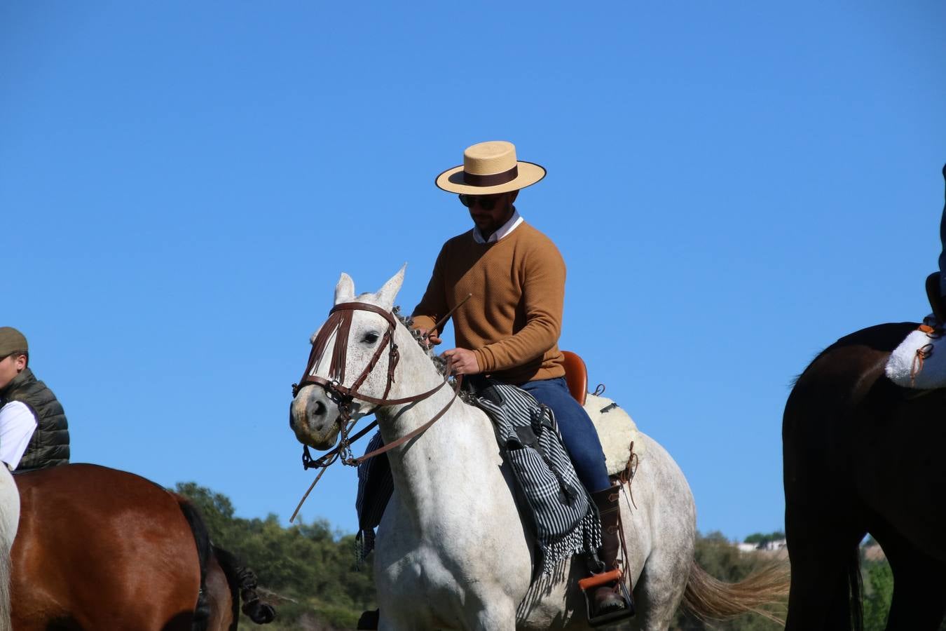 Romeros, carrozas y caballistas han acompañado, esta mañana, en procesión, al Simpecado de Nuestra Señora de Aguasantas, Patrona de Jerez de los Caballeros, hasta la ermita consagrada a su nombre. Durante el camino, no han faltado las perrunillas, la copa de anís, el acompañamiento musical del tamborilero de la Hermandad de La Algaba, Ramón Barragán, y los cánticos y bailes de algunos romeros. Un día de júbilo, convivencia y devoción a Nuestra Señora de Aguasantas que culminará, esta tarde, a las 20 horas, con el rezo del Santo Rosario en la citada ermita y el canto de la Salve a la Virgen.
