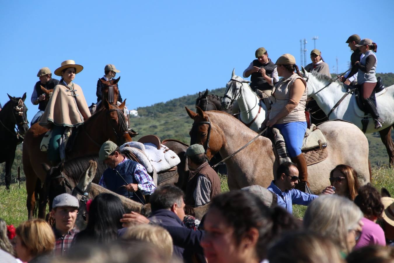 Romeros, carrozas y caballistas han acompañado, esta mañana, en procesión, al Simpecado de Nuestra Señora de Aguasantas, Patrona de Jerez de los Caballeros, hasta la ermita consagrada a su nombre. Durante el camino, no han faltado las perrunillas, la copa de anís, el acompañamiento musical del tamborilero de la Hermandad de La Algaba, Ramón Barragán, y los cánticos y bailes de algunos romeros. Un día de júbilo, convivencia y devoción a Nuestra Señora de Aguasantas que culminará, esta tarde, a las 20 horas, con el rezo del Santo Rosario en la citada ermita y el canto de la Salve a la Virgen.