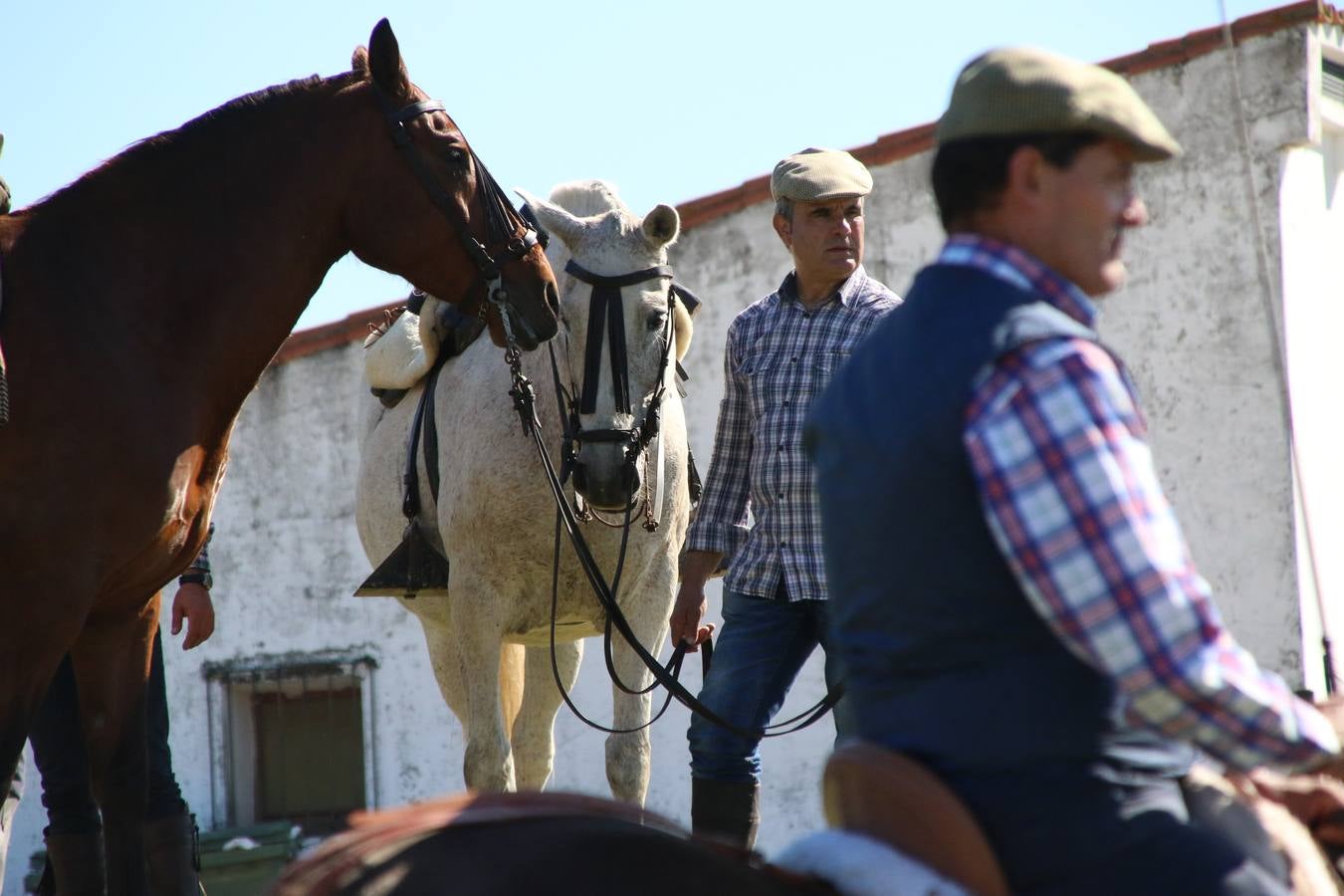 Romeros, carrozas y caballistas han acompañado, esta mañana, en procesión, al Simpecado de Nuestra Señora de Aguasantas, Patrona de Jerez de los Caballeros, hasta la ermita consagrada a su nombre. Durante el camino, no han faltado las perrunillas, la copa de anís, el acompañamiento musical del tamborilero de la Hermandad de La Algaba, Ramón Barragán, y los cánticos y bailes de algunos romeros. Un día de júbilo, convivencia y devoción a Nuestra Señora de Aguasantas que culminará, esta tarde, a las 20 horas, con el rezo del Santo Rosario en la citada ermita y el canto de la Salve a la Virgen.