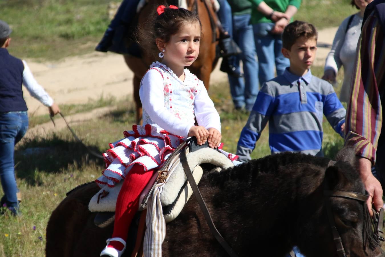 Romeros, carrozas y caballistas han acompañado, esta mañana, en procesión, al Simpecado de Nuestra Señora de Aguasantas, Patrona de Jerez de los Caballeros, hasta la ermita consagrada a su nombre. Durante el camino, no han faltado las perrunillas, la copa de anís, el acompañamiento musical del tamborilero de la Hermandad de La Algaba, Ramón Barragán, y los cánticos y bailes de algunos romeros. Un día de júbilo, convivencia y devoción a Nuestra Señora de Aguasantas que culminará, esta tarde, a las 20 horas, con el rezo del Santo Rosario en la citada ermita y el canto de la Salve a la Virgen.