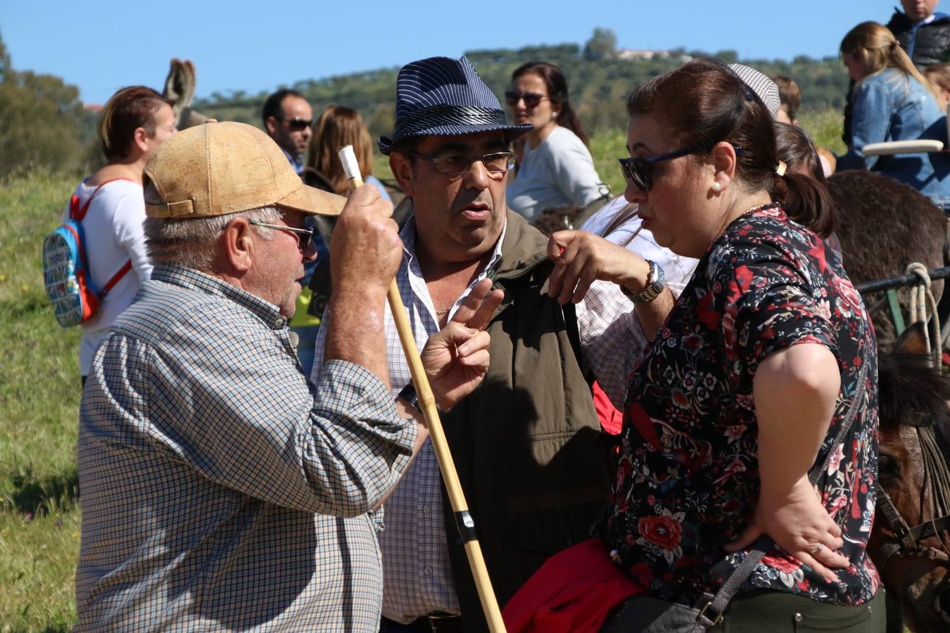 Romeros, carrozas y caballistas han acompañado, esta mañana, en procesión, al Simpecado de Nuestra Señora de Aguasantas, Patrona de Jerez de los Caballeros, hasta la ermita consagrada a su nombre. Durante el camino, no han faltado las perrunillas, la copa de anís, el acompañamiento musical del tamborilero de la Hermandad de La Algaba, Ramón Barragán, y los cánticos y bailes de algunos romeros. Un día de júbilo, convivencia y devoción a Nuestra Señora de Aguasantas que culminará, esta tarde, a las 20 horas, con el rezo del Santo Rosario en la citada ermita y el canto de la Salve a la Virgen.