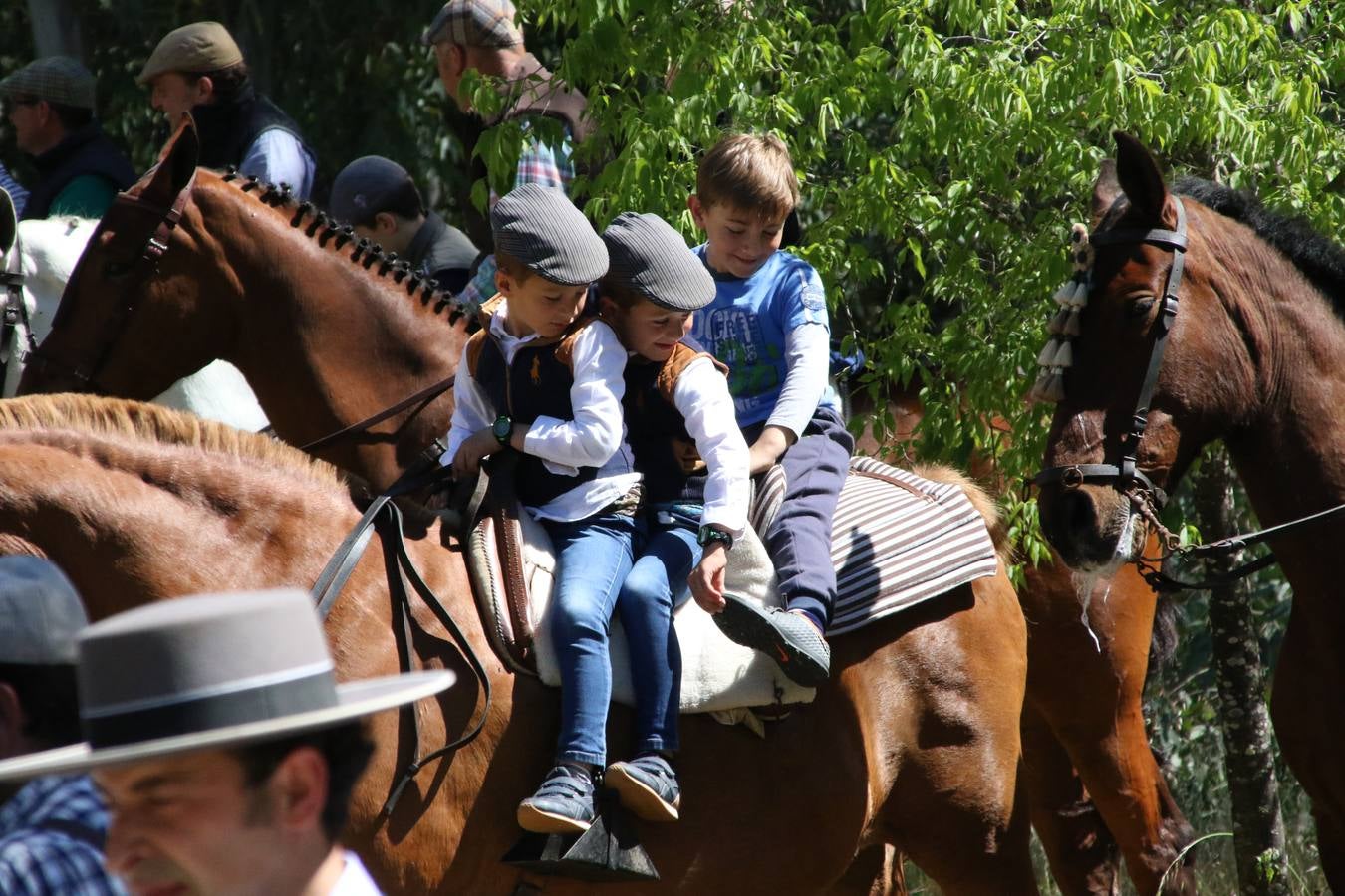 Romeros, carrozas y caballistas han acompañado, esta mañana, en procesión, al Simpecado de Nuestra Señora de Aguasantas, Patrona de Jerez de los Caballeros, hasta la ermita consagrada a su nombre. Durante el camino, no han faltado las perrunillas, la copa de anís, el acompañamiento musical del tamborilero de la Hermandad de La Algaba, Ramón Barragán, y los cánticos y bailes de algunos romeros. Un día de júbilo, convivencia y devoción a Nuestra Señora de Aguasantas que culminará, esta tarde, a las 20 horas, con el rezo del Santo Rosario en la citada ermita y el canto de la Salve a la Virgen.