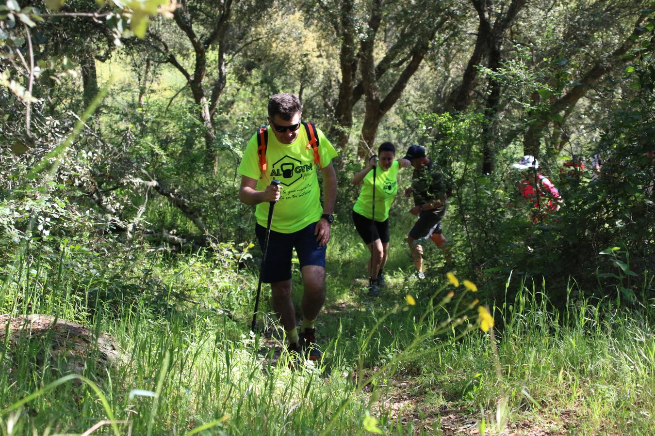 Más de 480 personas han disfrutado, esta mañana, de una nueva edición de la 'Ruta Templaria', organizada por la Asociación Grupo Senderista Jerezano 'Las Chorreras' con el apoyo del Ayuntamiento de Jerez, el Programa de Dinamización Deportiva de la Mancomunidad Sierra Suroeste, 'Euexia Rural' y el patrocinio de diferentes casas comerciales de la localidad. Jerez de los Caballeros y su entorno han vuelto a ser protagonistas de una ruta que, este año, ha contado con un nuevo recorrido entre las cuencas de los arroyos Benferre y Casabayas. La jornada ha comenzado en el Parque de Santa Lucía y ha finalizado en la Plaza de la Alcazaba con una paella y la actuación musical de 'Dale al Play'.