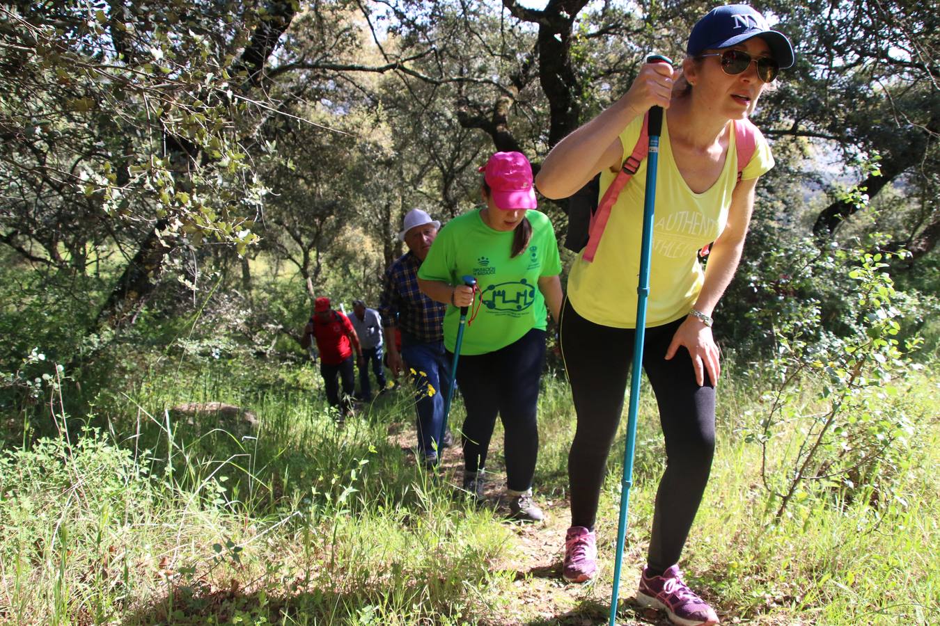 Más de 480 personas han disfrutado, esta mañana, de una nueva edición de la 'Ruta Templaria', organizada por la Asociación Grupo Senderista Jerezano 'Las Chorreras' con el apoyo del Ayuntamiento de Jerez, el Programa de Dinamización Deportiva de la Mancomunidad Sierra Suroeste, 'Euexia Rural' y el patrocinio de diferentes casas comerciales de la localidad. Jerez de los Caballeros y su entorno han vuelto a ser protagonistas de una ruta que, este año, ha contado con un nuevo recorrido entre las cuencas de los arroyos Benferre y Casabayas. La jornada ha comenzado en el Parque de Santa Lucía y ha finalizado en la Plaza de la Alcazaba con una paella y la actuación musical de 'Dale al Play'.