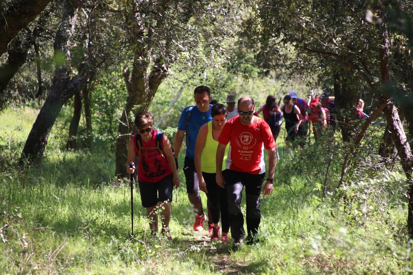 Más de 480 personas han disfrutado, esta mañana, de una nueva edición de la 'Ruta Templaria', organizada por la Asociación Grupo Senderista Jerezano 'Las Chorreras' con el apoyo del Ayuntamiento de Jerez, el Programa de Dinamización Deportiva de la Mancomunidad Sierra Suroeste, 'Euexia Rural' y el patrocinio de diferentes casas comerciales de la localidad. Jerez de los Caballeros y su entorno han vuelto a ser protagonistas de una ruta que, este año, ha contado con un nuevo recorrido entre las cuencas de los arroyos Benferre y Casabayas. La jornada ha comenzado en el Parque de Santa Lucía y ha finalizado en la Plaza de la Alcazaba con una paella y la actuación musical de 'Dale al Play'.