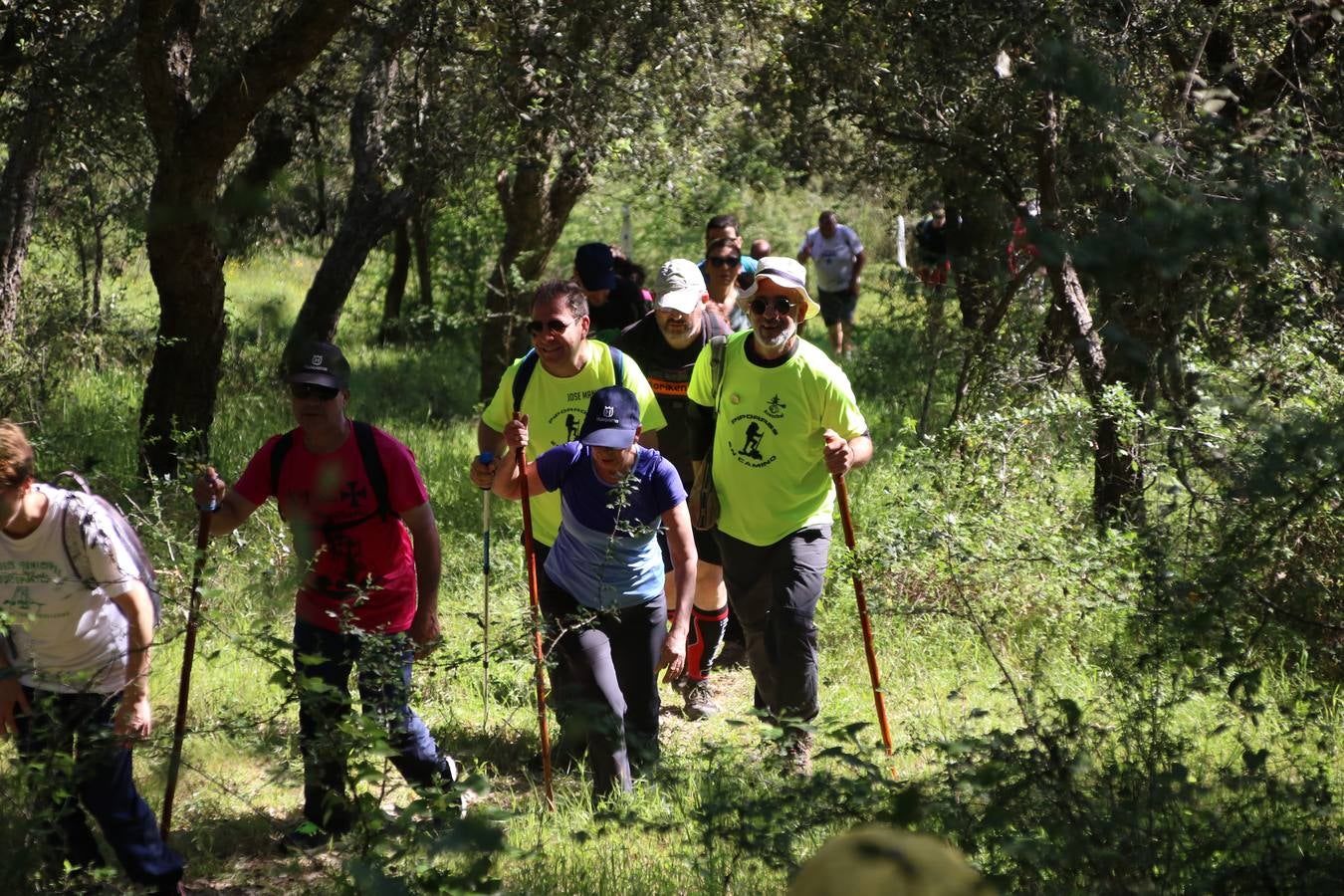 Más de 480 personas han disfrutado, esta mañana, de una nueva edición de la 'Ruta Templaria', organizada por la Asociación Grupo Senderista Jerezano 'Las Chorreras' con el apoyo del Ayuntamiento de Jerez, el Programa de Dinamización Deportiva de la Mancomunidad Sierra Suroeste, 'Euexia Rural' y el patrocinio de diferentes casas comerciales de la localidad. Jerez de los Caballeros y su entorno han vuelto a ser protagonistas de una ruta que, este año, ha contado con un nuevo recorrido entre las cuencas de los arroyos Benferre y Casabayas. La jornada ha comenzado en el Parque de Santa Lucía y ha finalizado en la Plaza de la Alcazaba con una paella y la actuación musical de 'Dale al Play'.