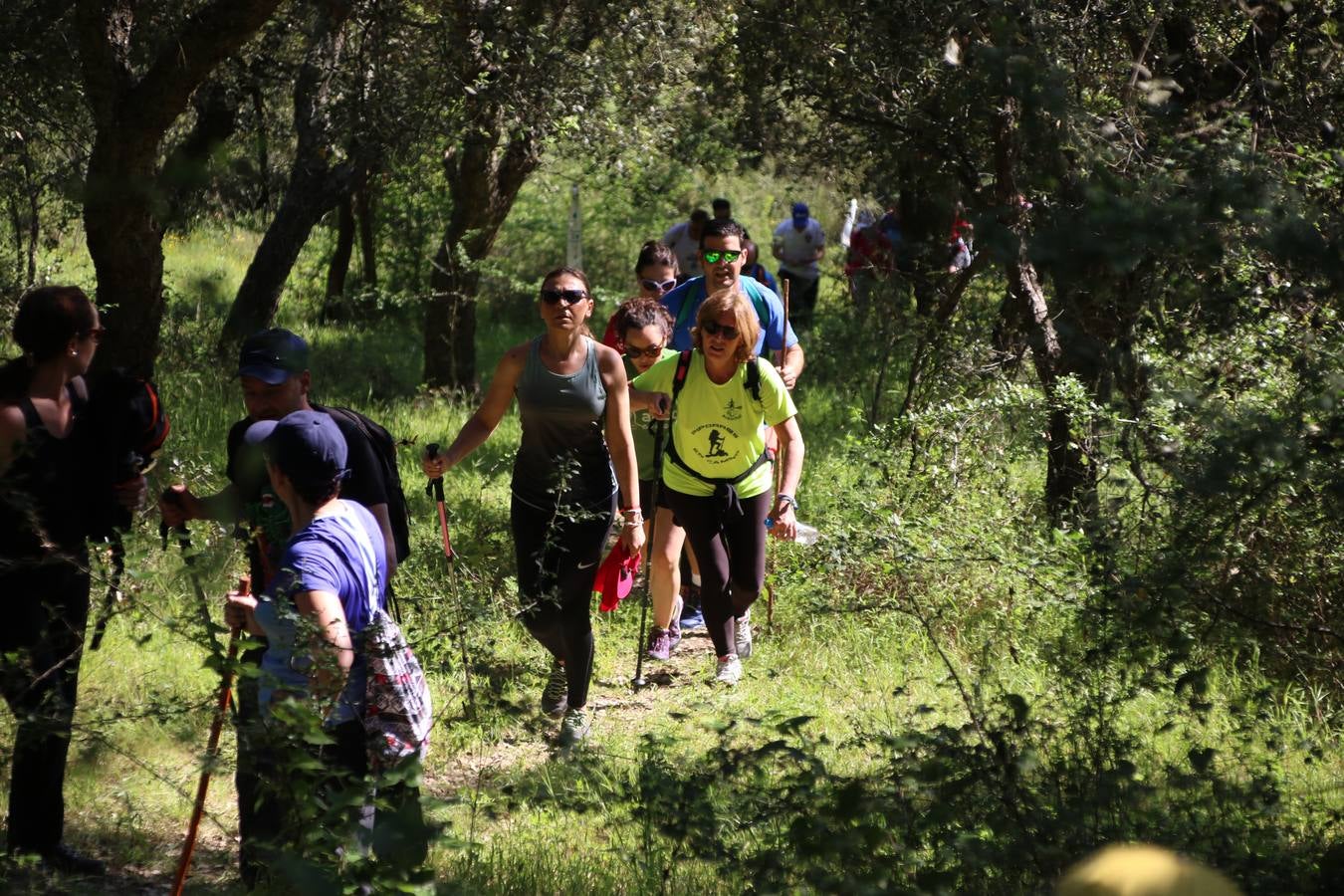 Más de 480 personas han disfrutado, esta mañana, de una nueva edición de la 'Ruta Templaria', organizada por la Asociación Grupo Senderista Jerezano 'Las Chorreras' con el apoyo del Ayuntamiento de Jerez, el Programa de Dinamización Deportiva de la Mancomunidad Sierra Suroeste, 'Euexia Rural' y el patrocinio de diferentes casas comerciales de la localidad. Jerez de los Caballeros y su entorno han vuelto a ser protagonistas de una ruta que, este año, ha contado con un nuevo recorrido entre las cuencas de los arroyos Benferre y Casabayas. La jornada ha comenzado en el Parque de Santa Lucía y ha finalizado en la Plaza de la Alcazaba con una paella y la actuación musical de 'Dale al Play'.
